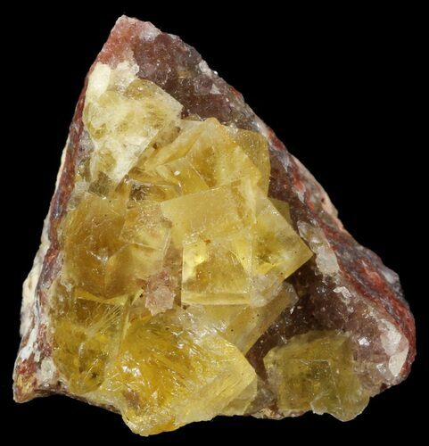 Lustrous, Yellow Cubic Fluorite Crystals - Morocco #44886